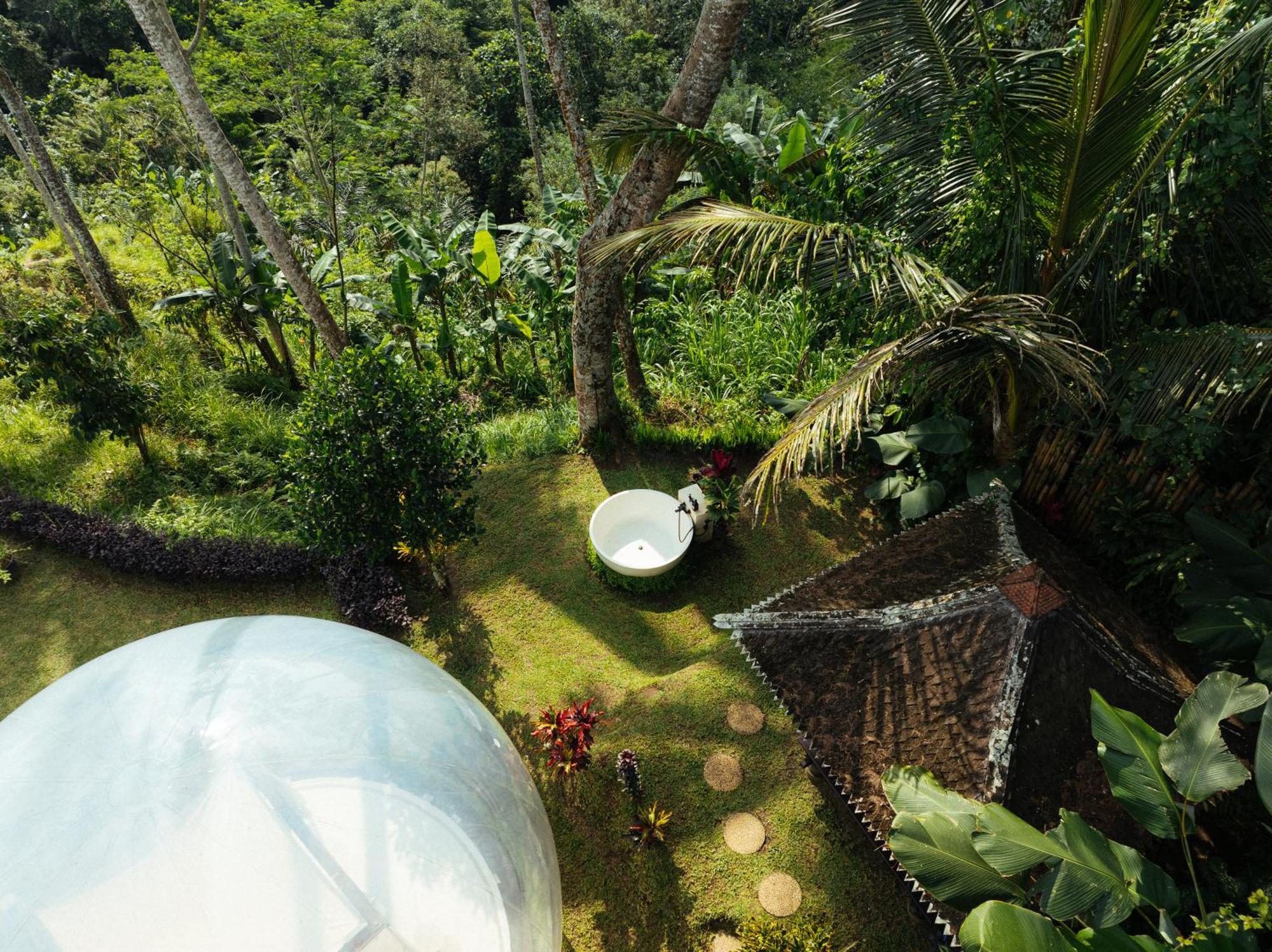 Bubble Bali Ubud - Adults Only