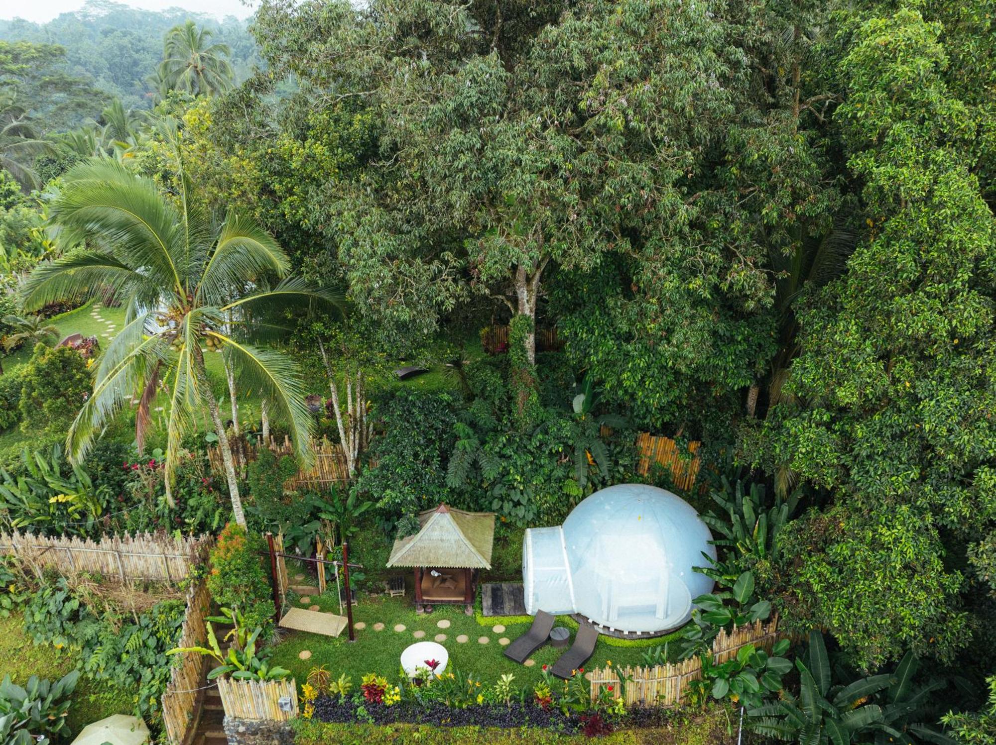 Hotel Bubble Bali Ubud *